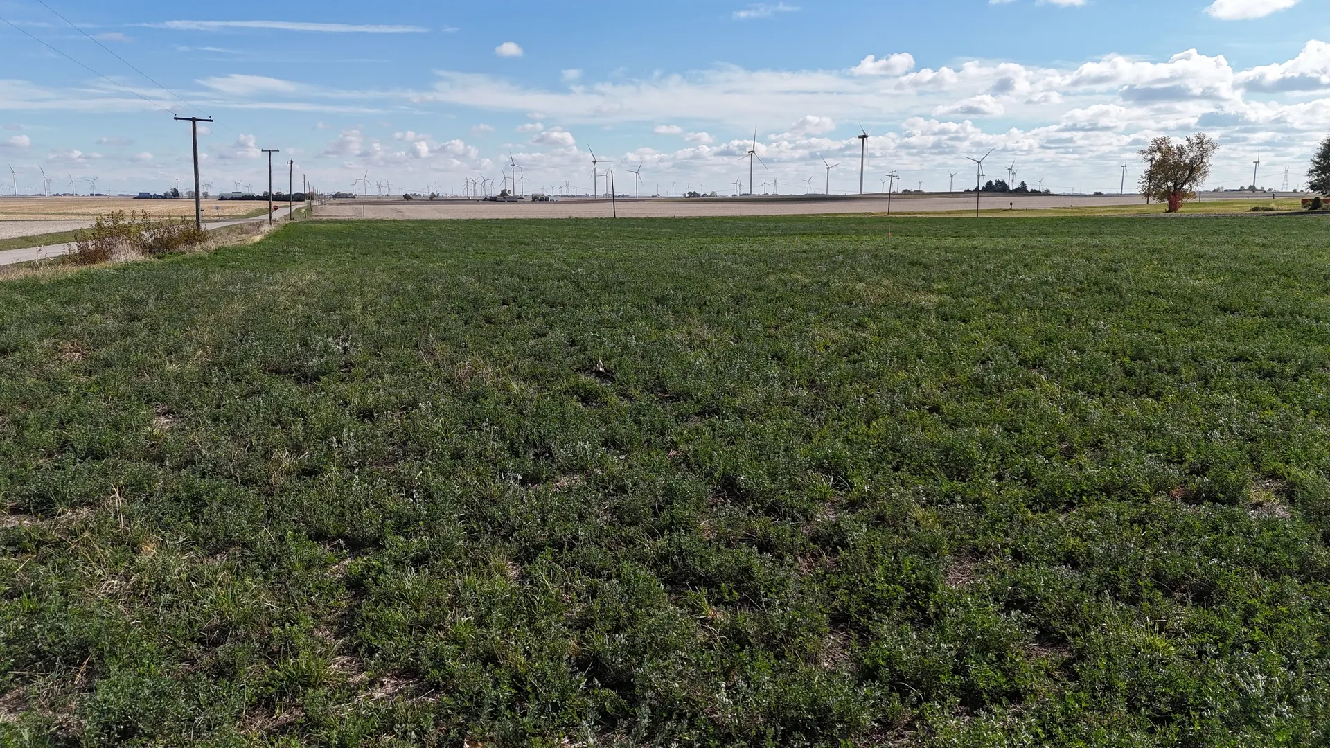 21416 E 2300 Road N IL