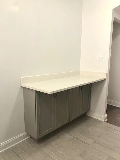 1068 W Thorndale Avenue 2N IL