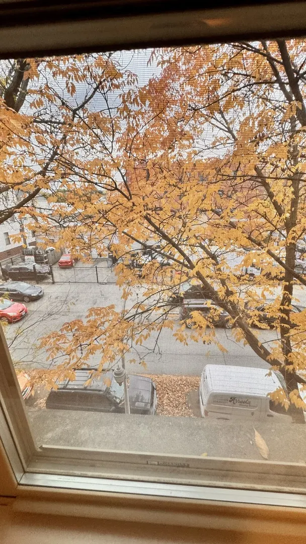 4357 N Drake Avenue 3 IL