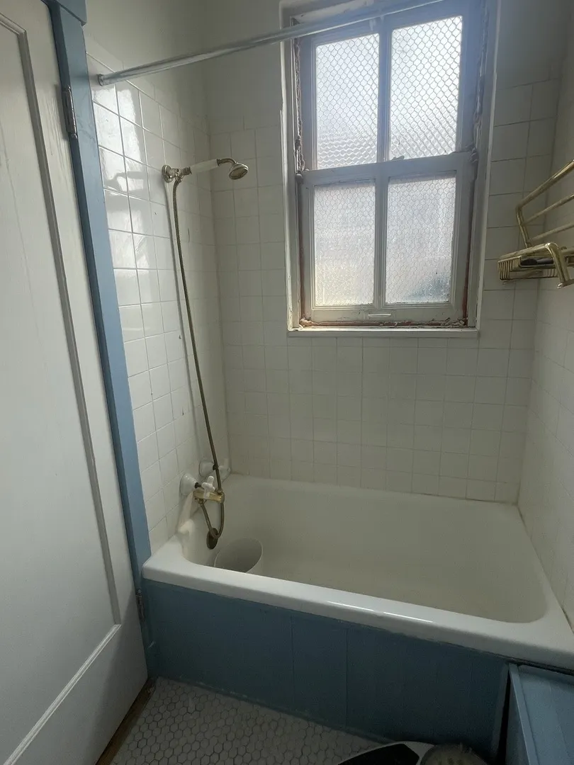 3800 N Lake Shore Drive 11E IL