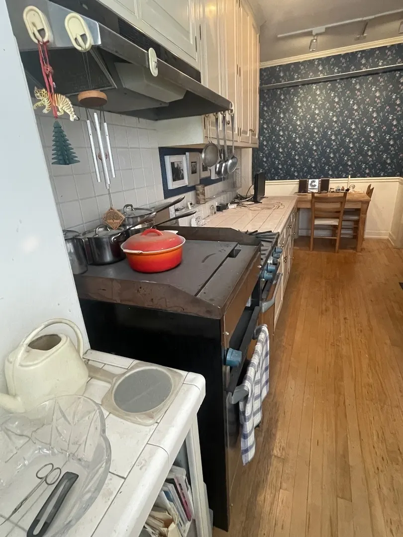 3800 N Lake Shore Drive 11E IL