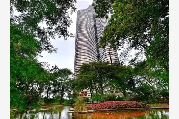 505 N Lake Shore Drive IL #C-62