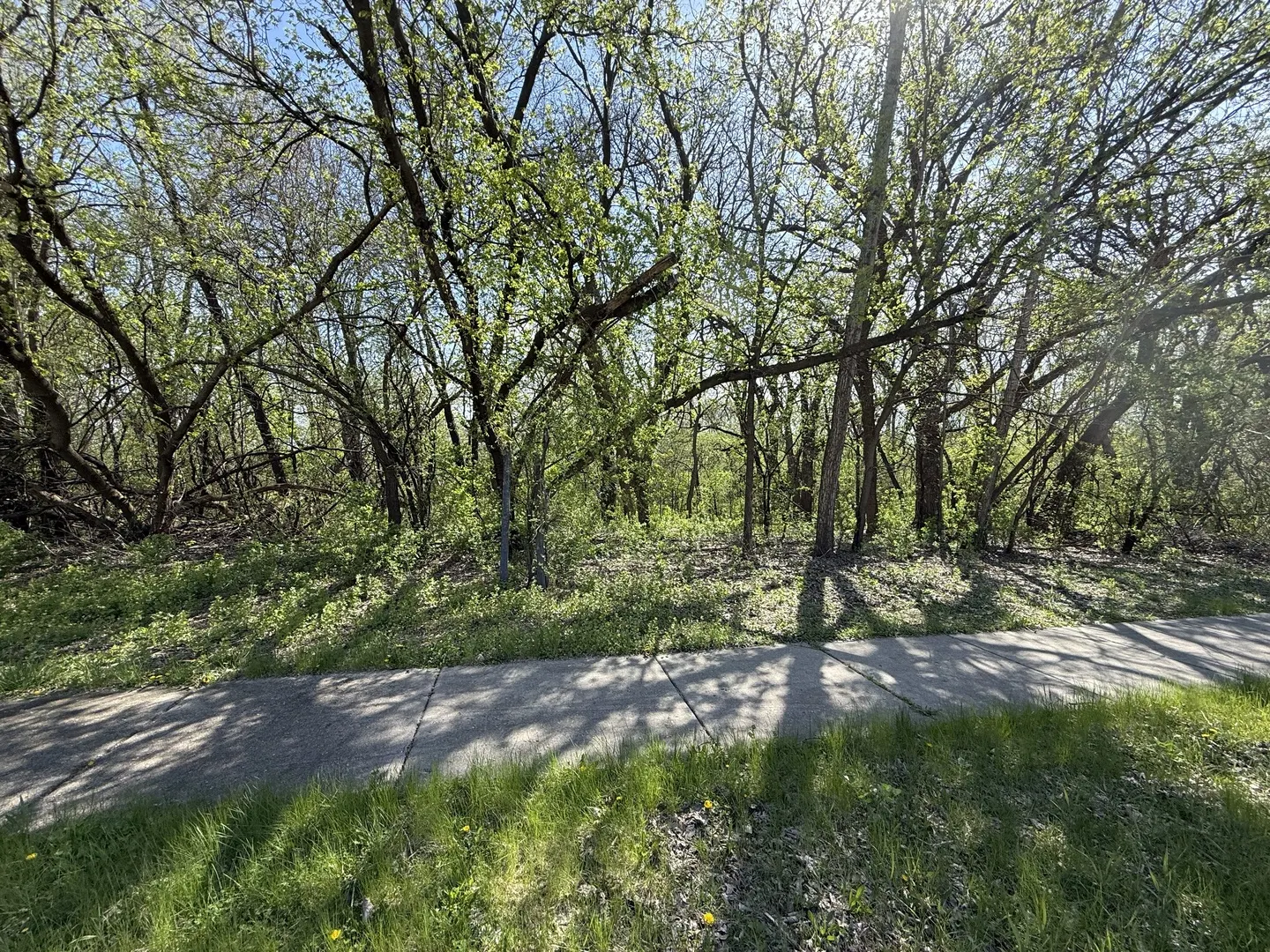 1716-1728-1740 Oak Drive IL