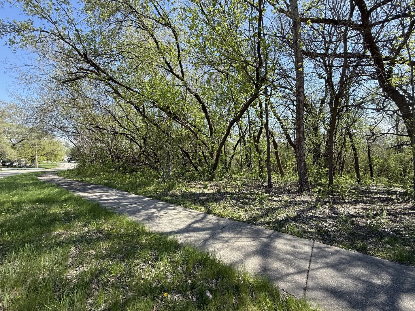 1716-1728-1740 Oak Drive IL