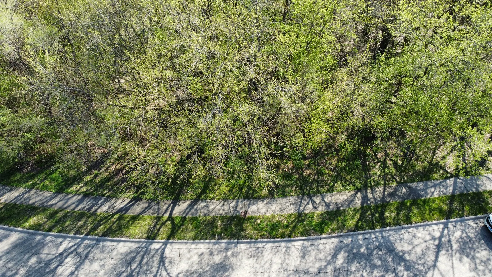 1716-1728-1740 Oak Drive IL