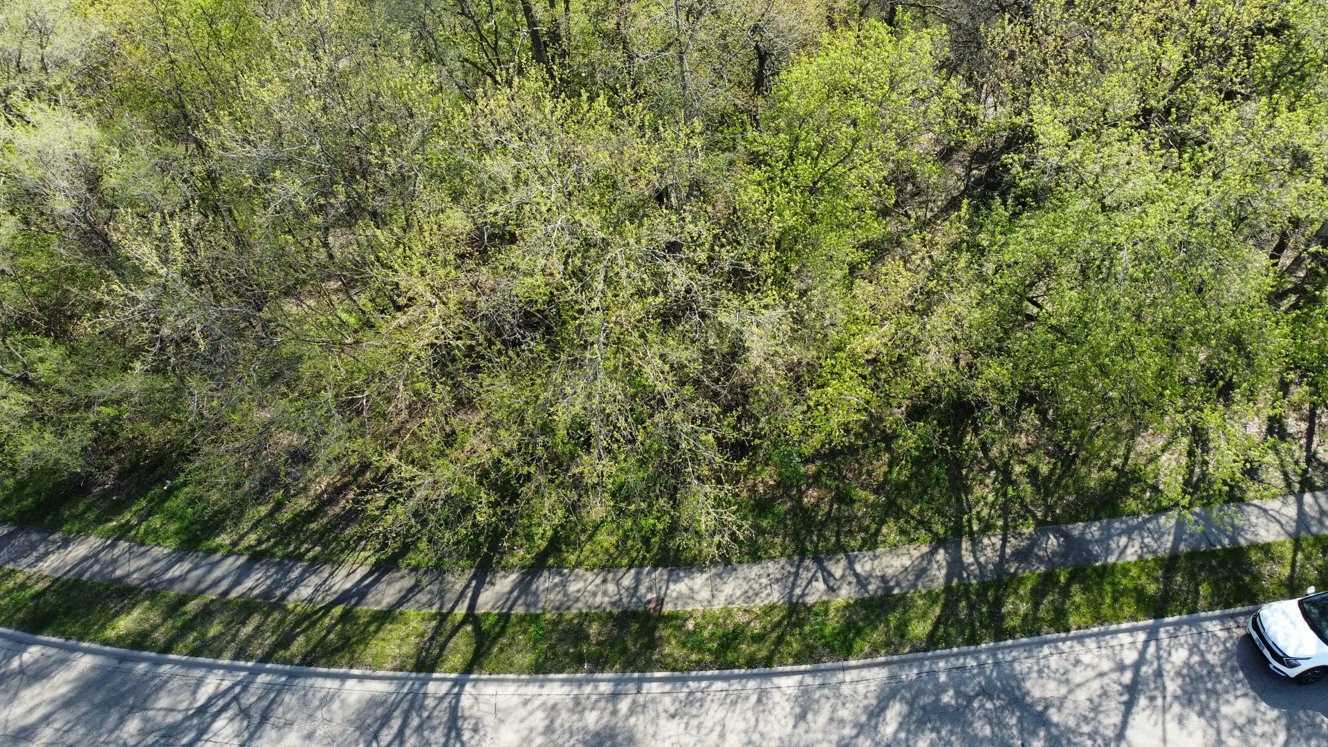 1716-1728-1740 Oak Drive IL