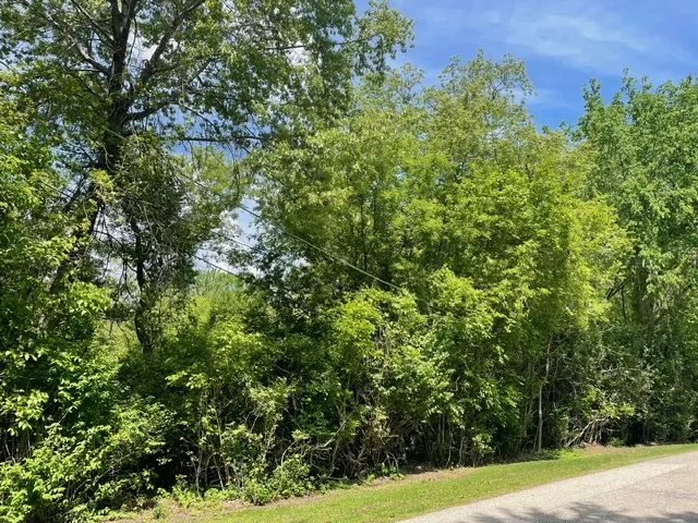 Lot 0 Pine Street S IL