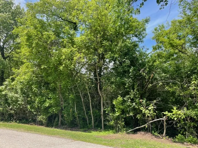 Lot 0 Pine Street S IL