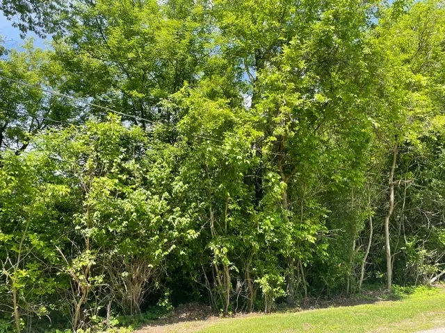 Lot 0 Pine Street S IL