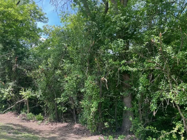Lot 0 Pine Street S IL