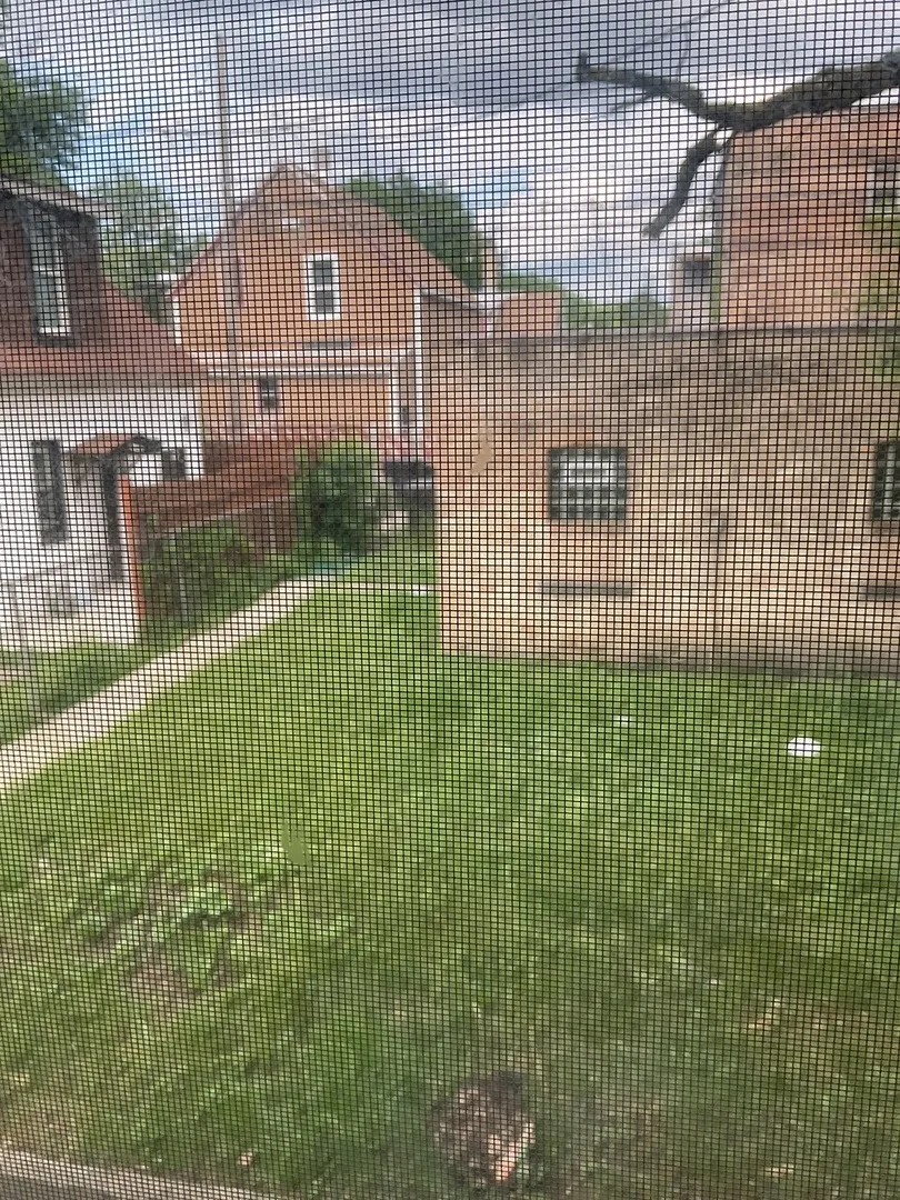8955 S May Street IL