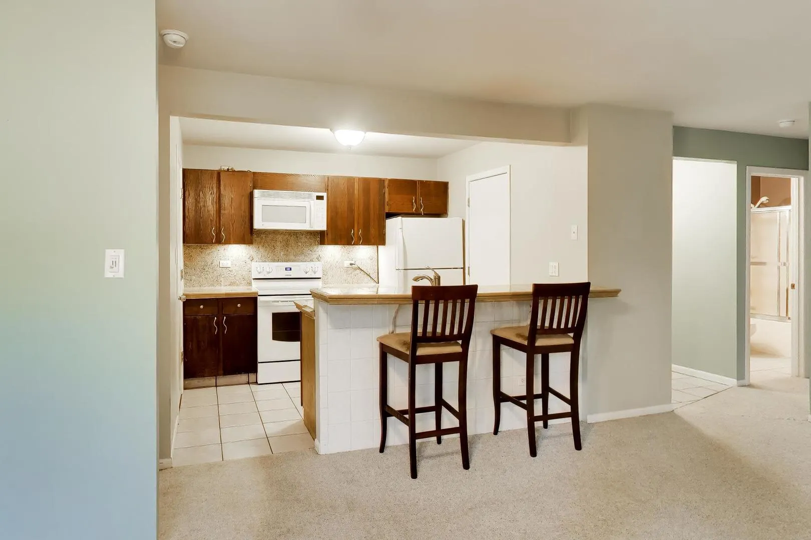 4404 W Shamrock Lane IL #1A