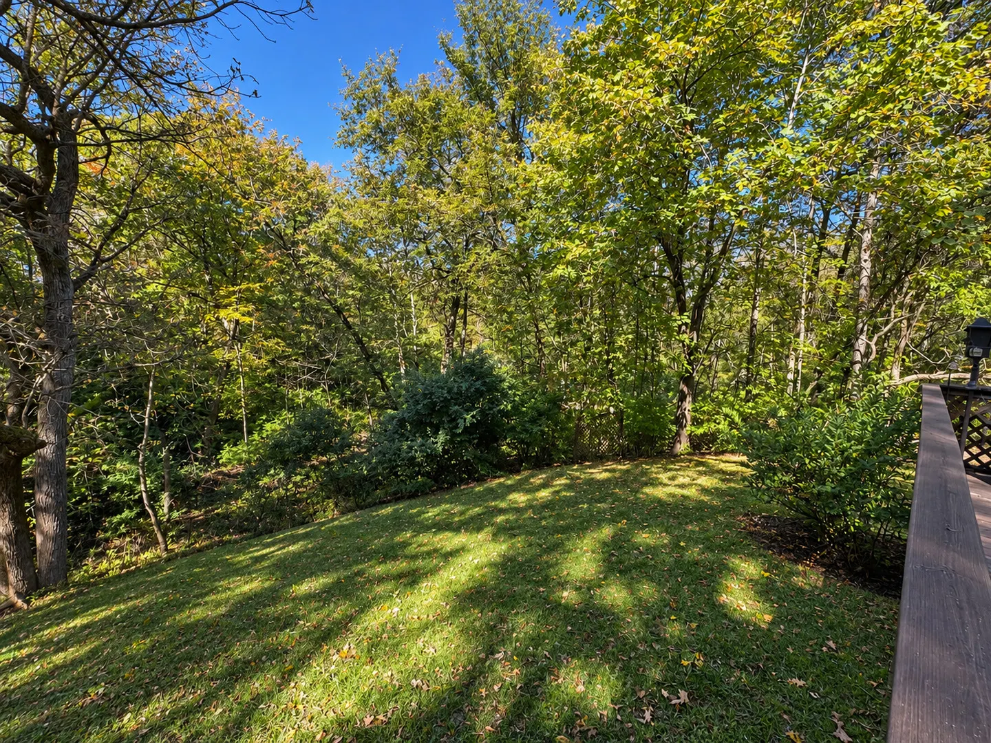373 Lake Thunderbird Drive IL