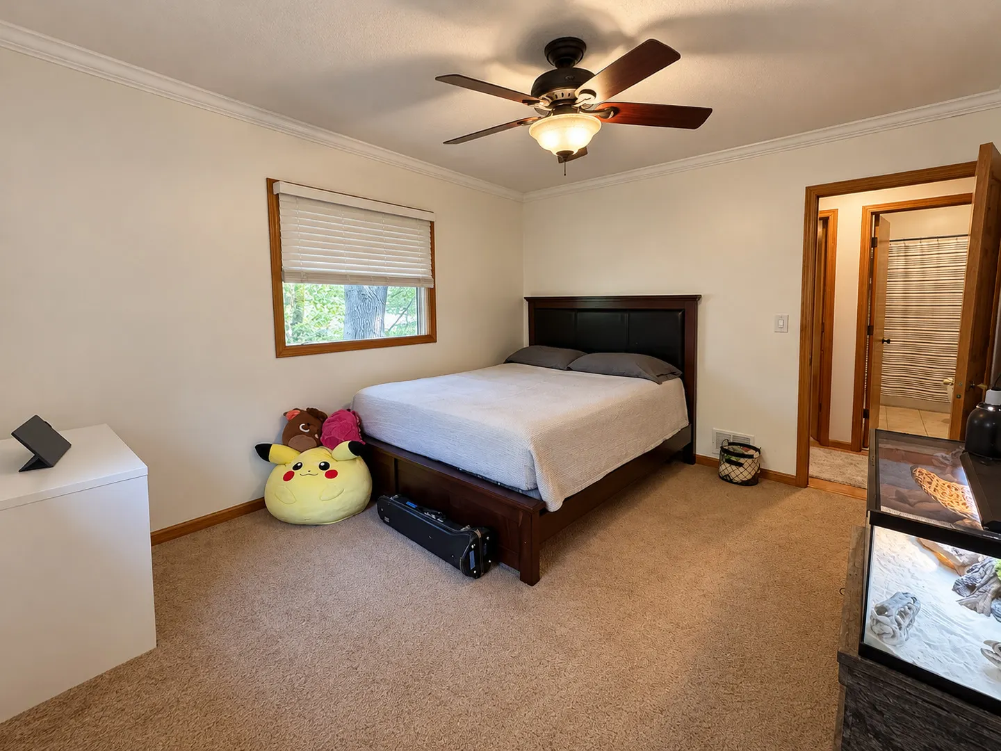 373 Lake Thunderbird Drive IL