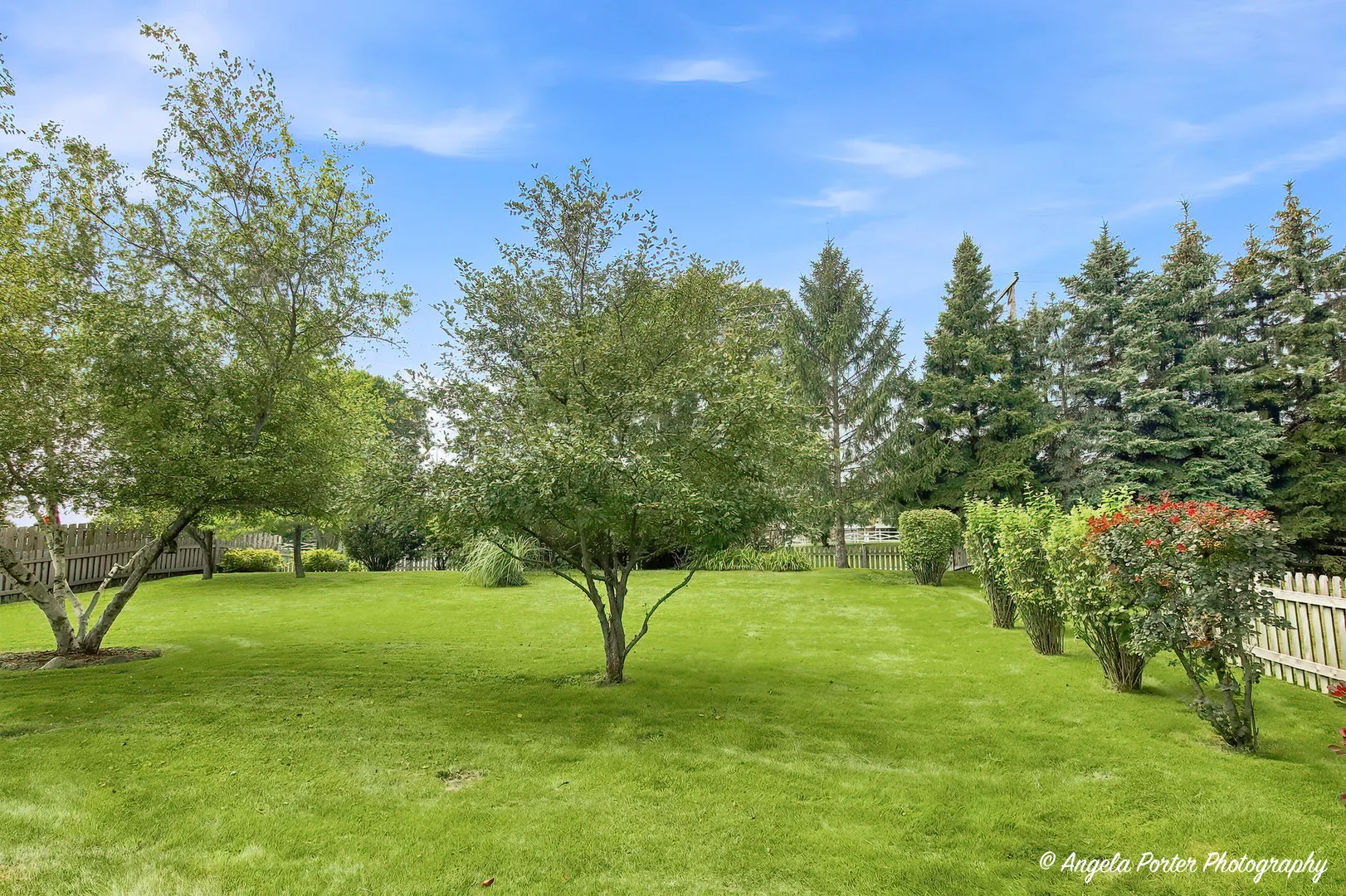 419 Wimbleton Trail IL