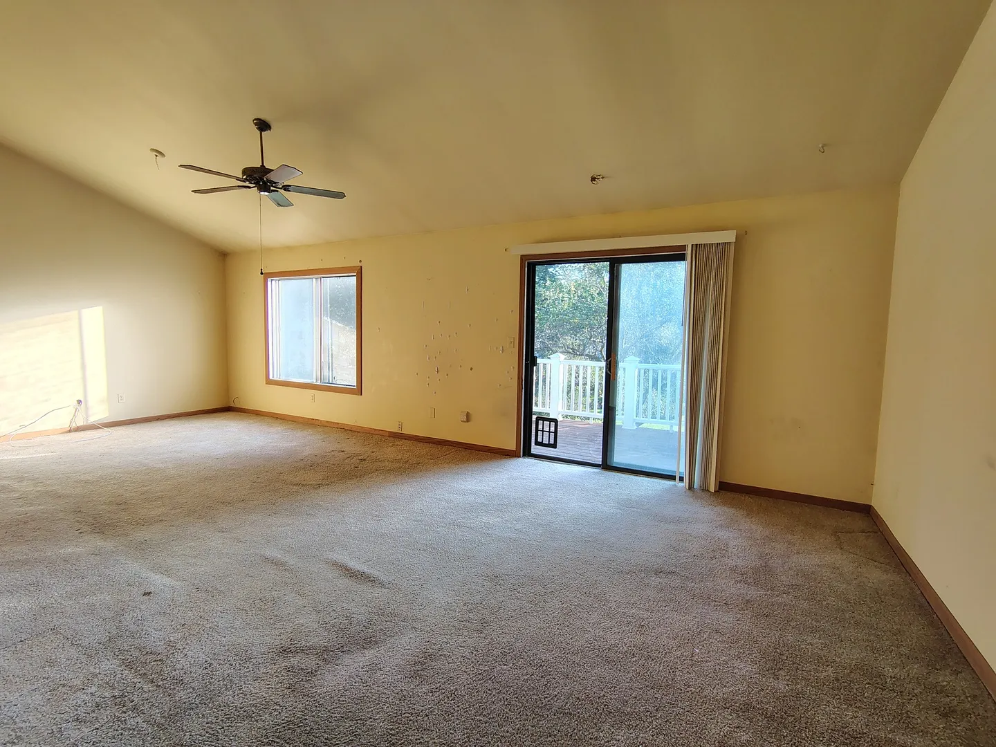 5205 WOODMAR Court IL #C