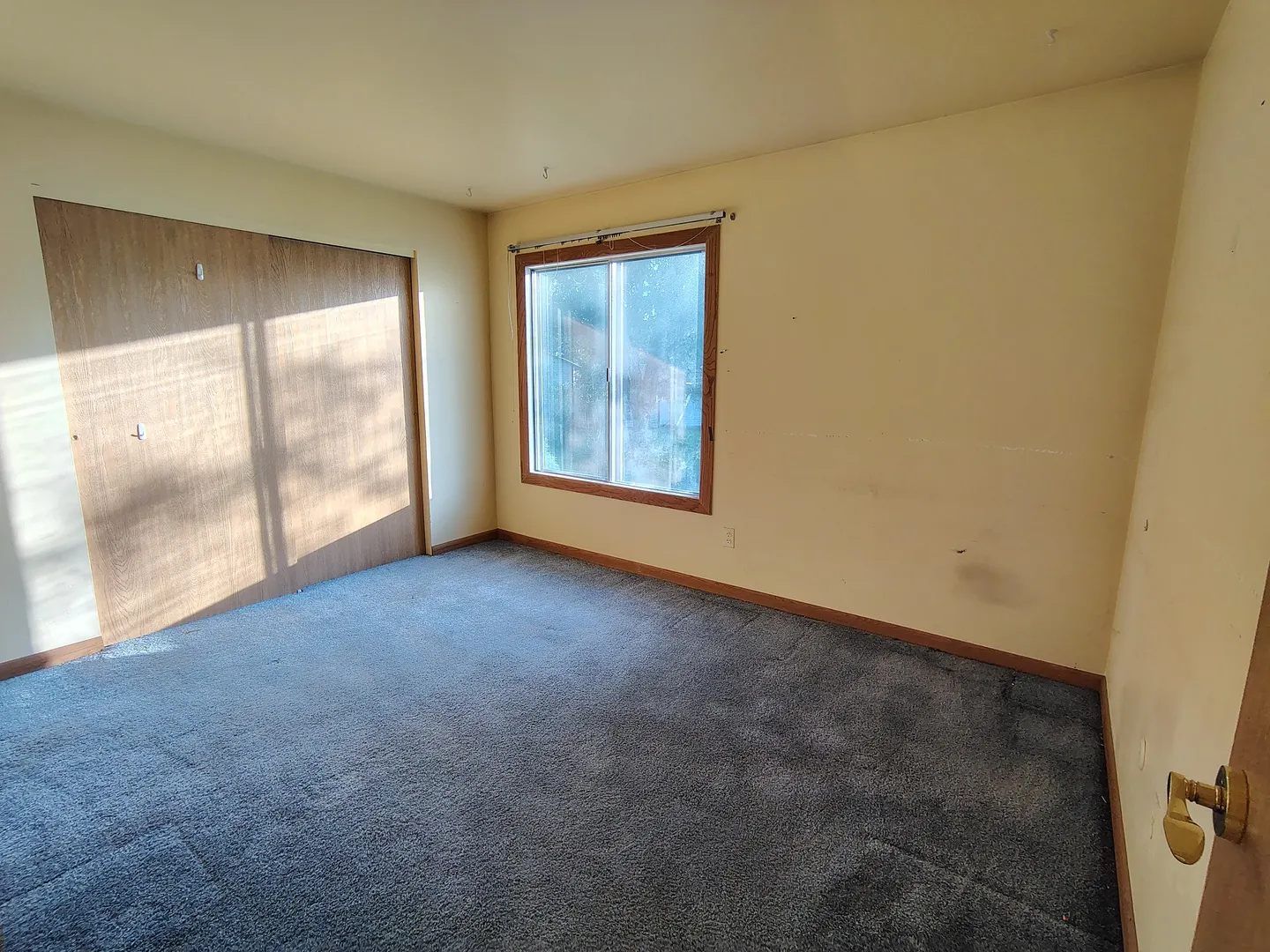 5205 WOODMAR Court IL #C