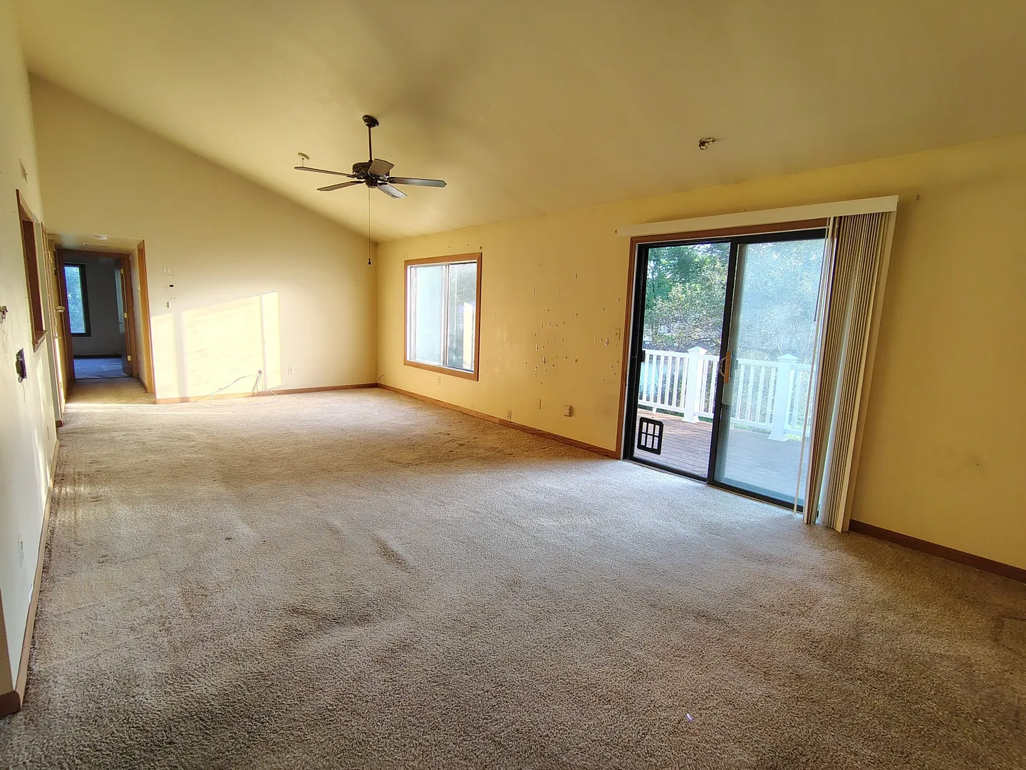 5205 WOODMAR Court IL #C