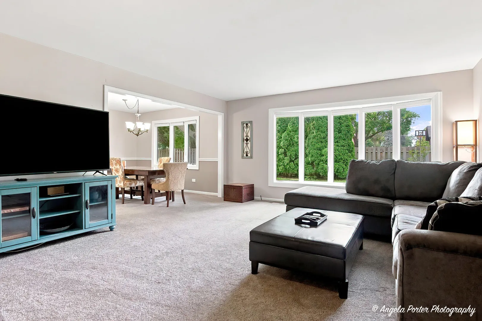411 N Shepherd Hill Lane IL