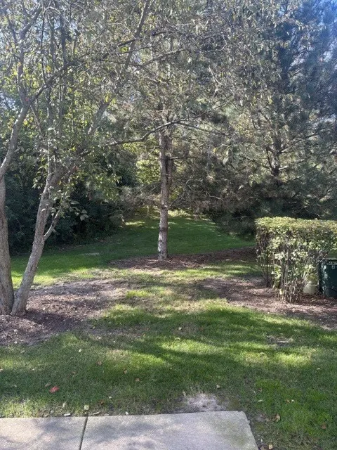 1473 Yosemite Circle IL