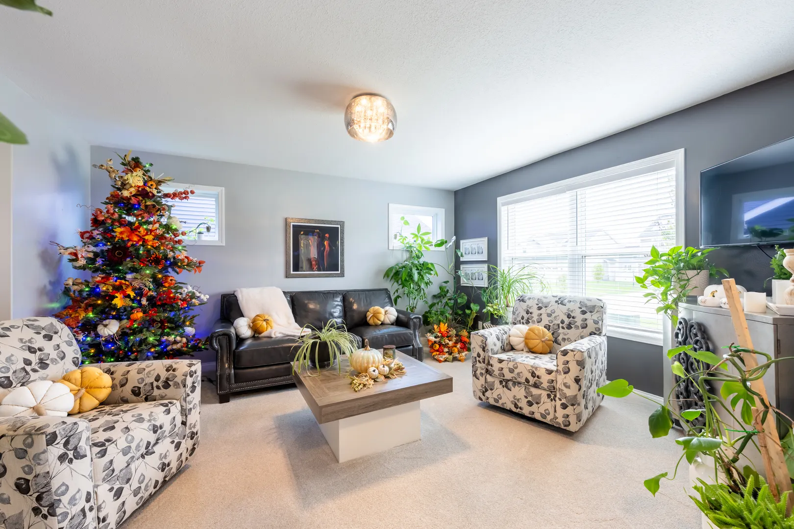 3908 Slate Drive IL