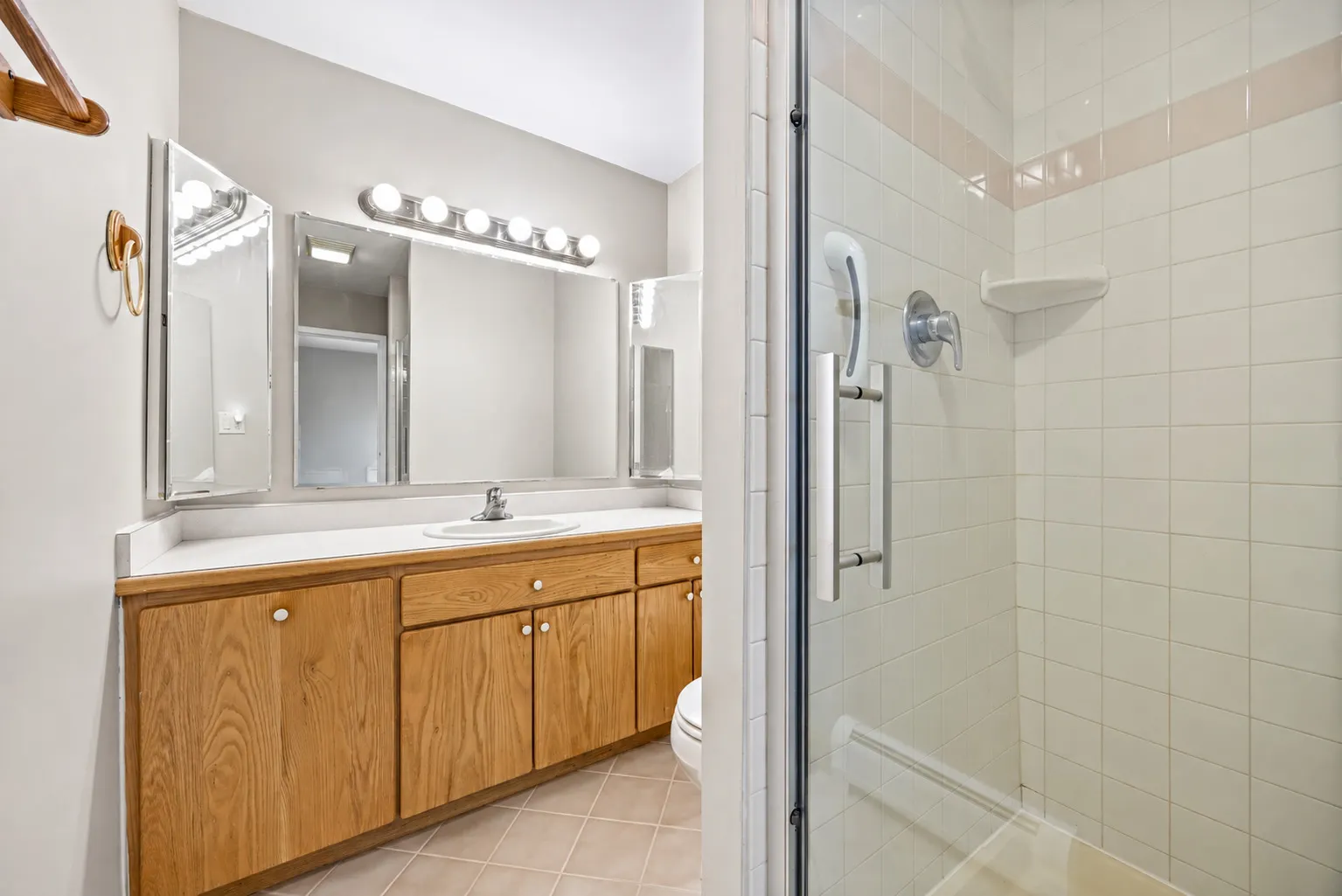 1049 W Ogden Avenue IL #207