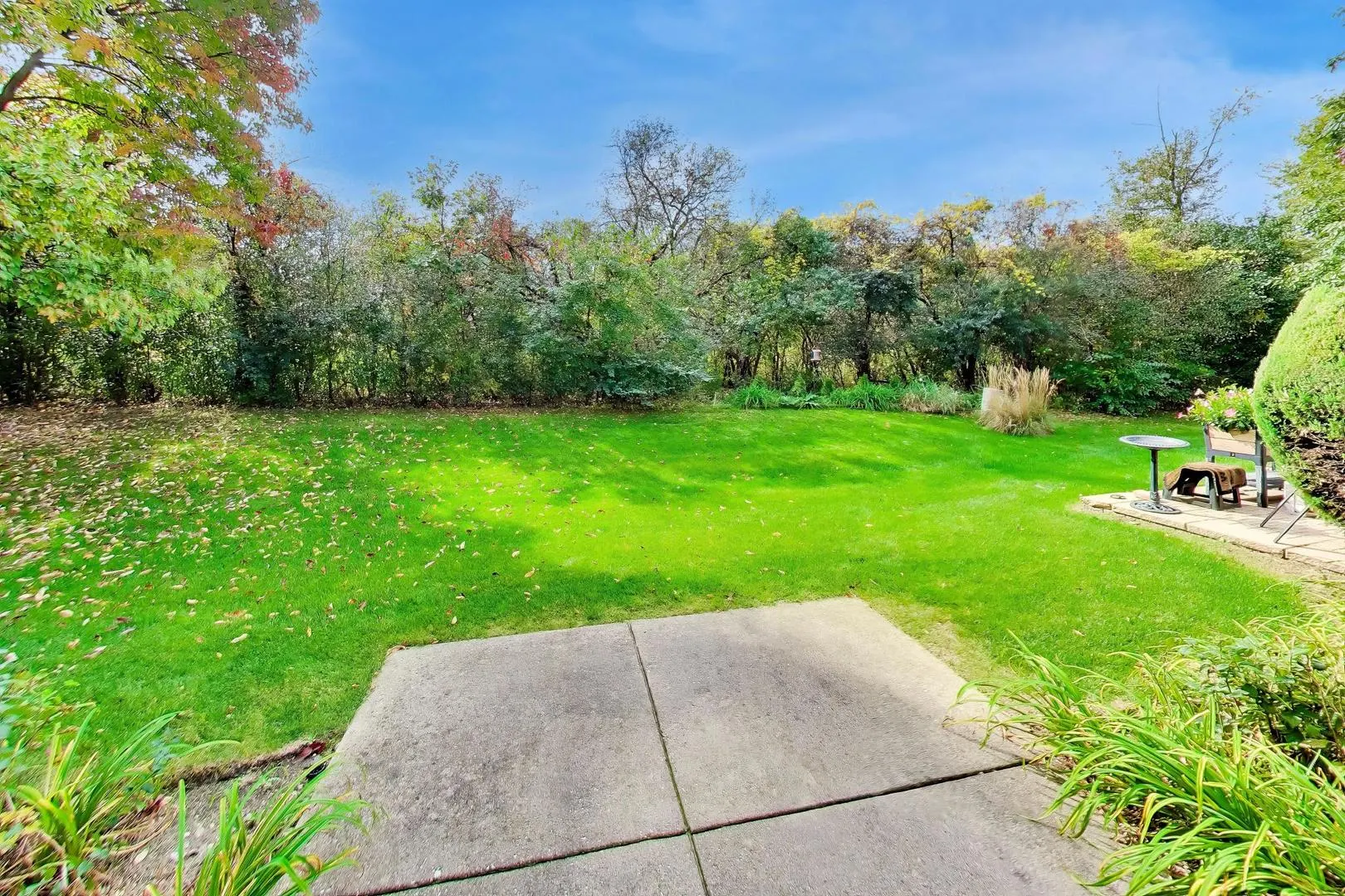 13886 Steepleview Lane IL #1388
