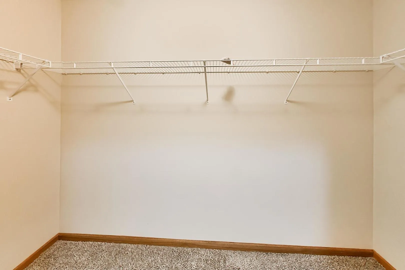 13886 Steepleview Lane IL #1388