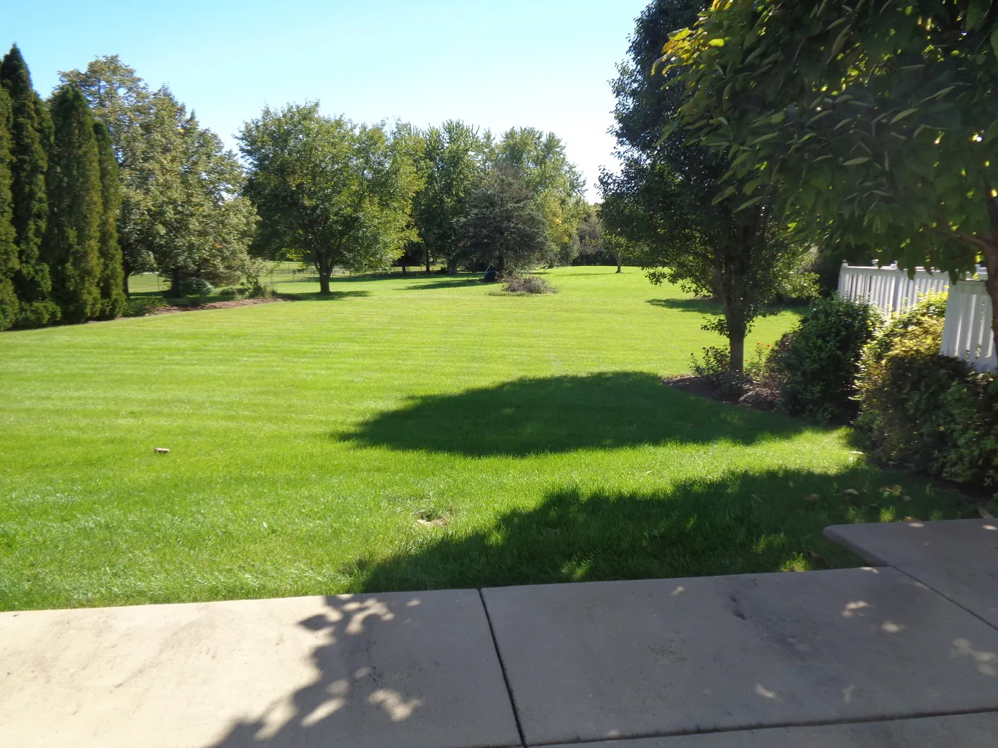 1915 W Cobblestone Lane IL