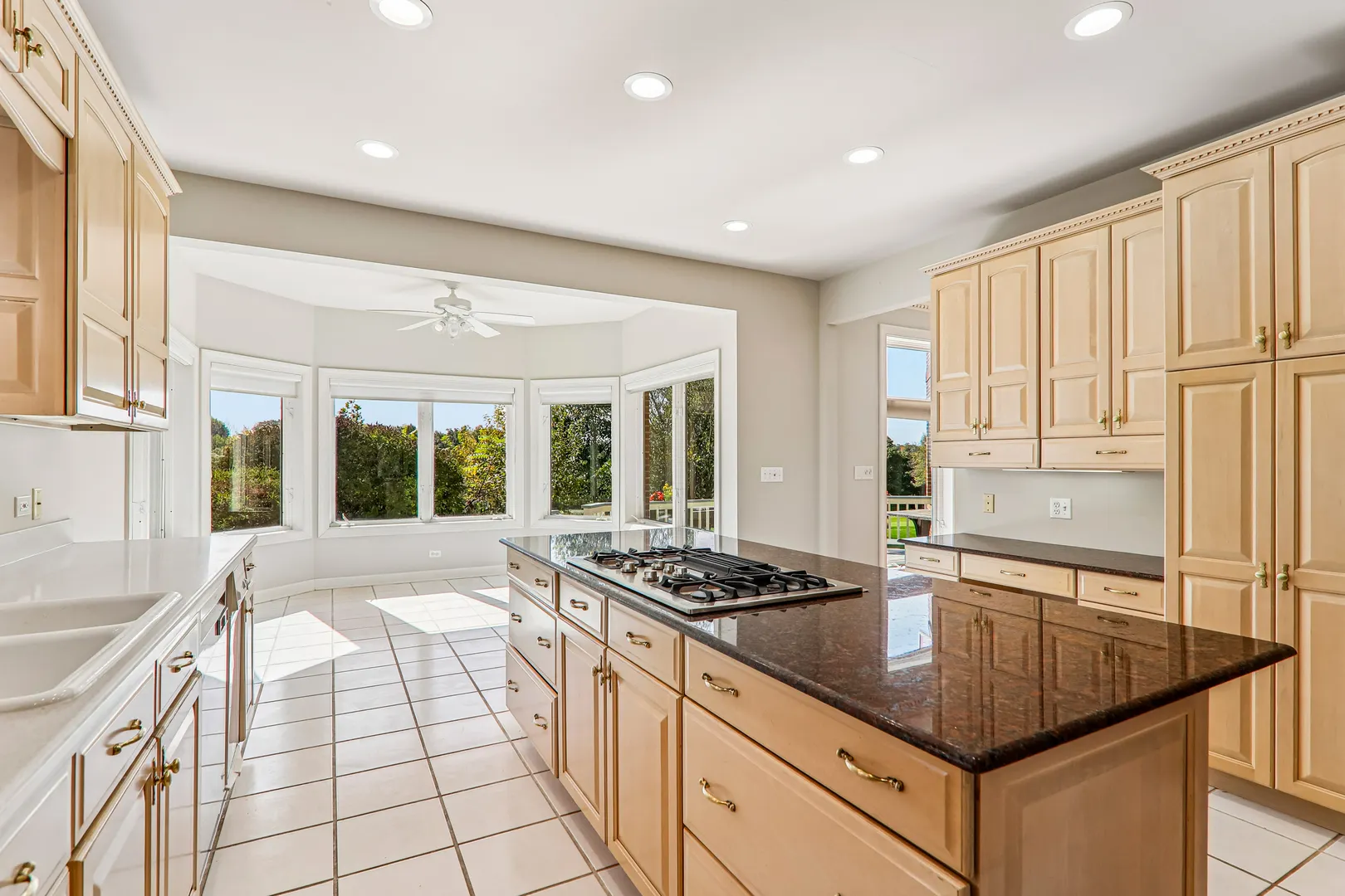 10711 Bull Valley Drive IL
