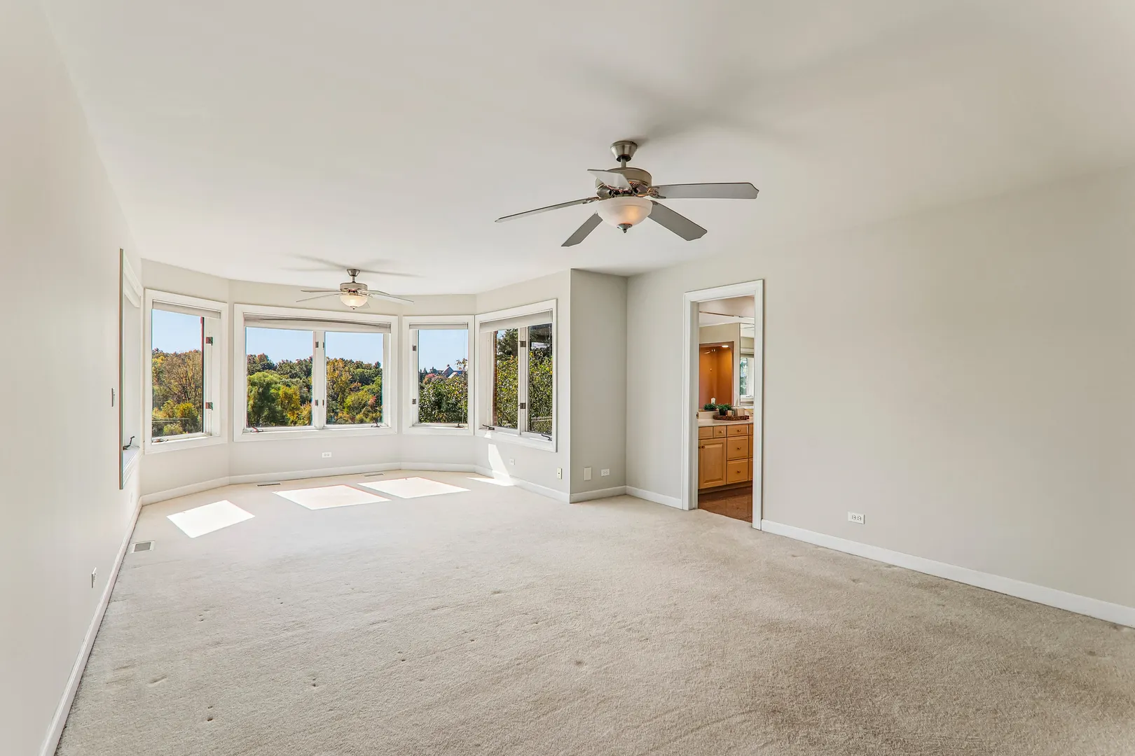 10711 Bull Valley Drive IL