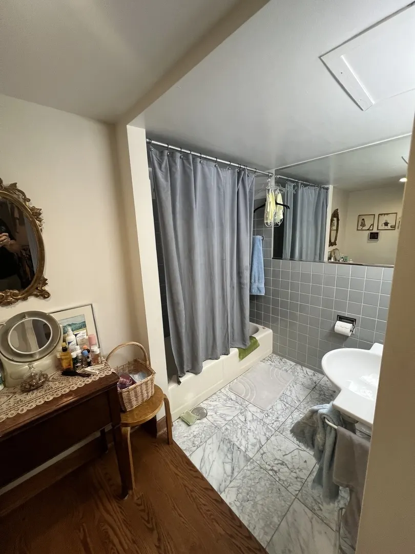 850 N DEWITT Place IL #21CE