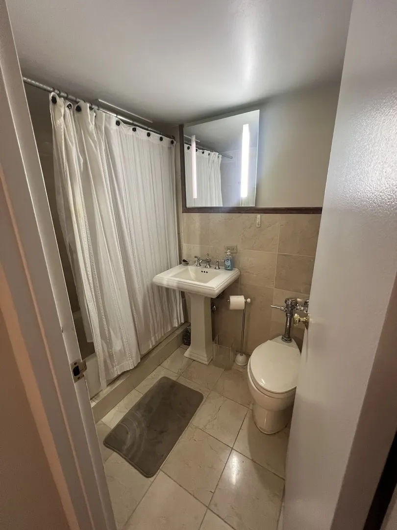 850 N DEWITT Place IL #21CE