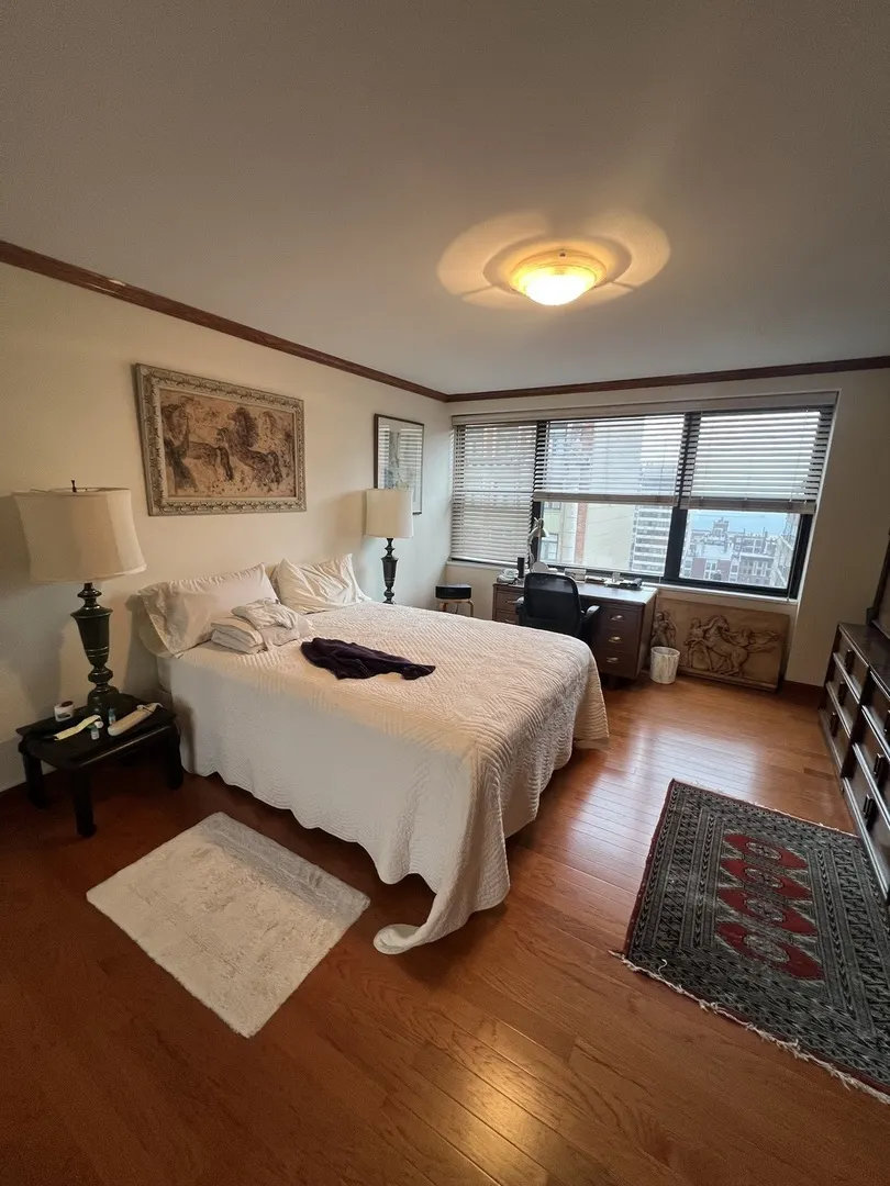 850 N DEWITT Place IL #21CE