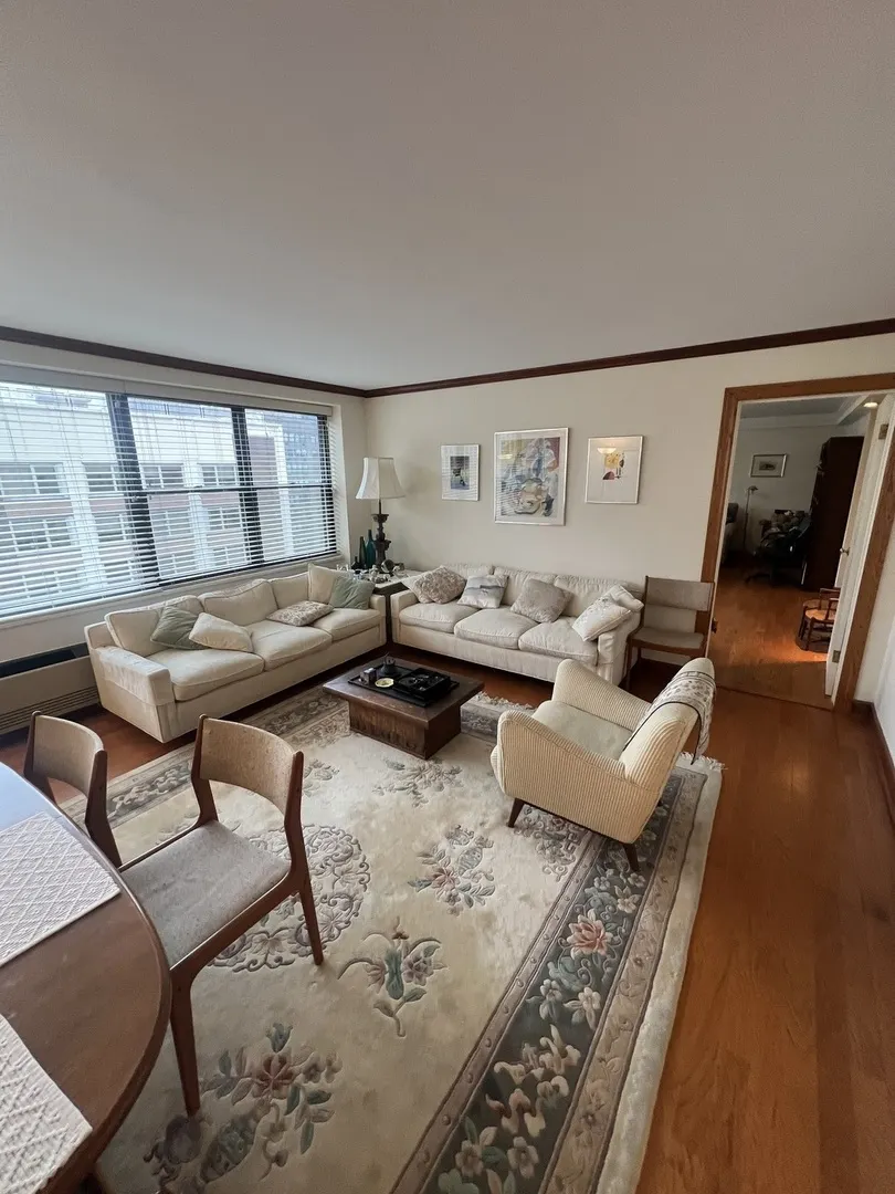 850 N DEWITT Place IL #21CE