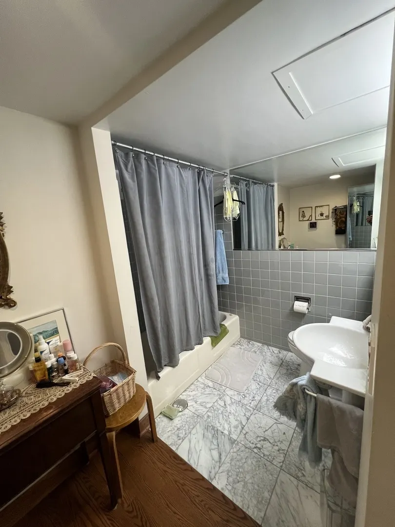 850 N DEWITT Place IL #21CE
