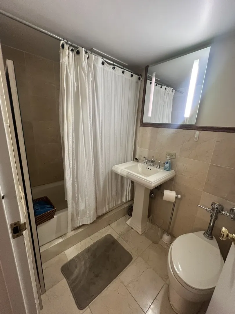 850 N DEWITT Place IL #21CE