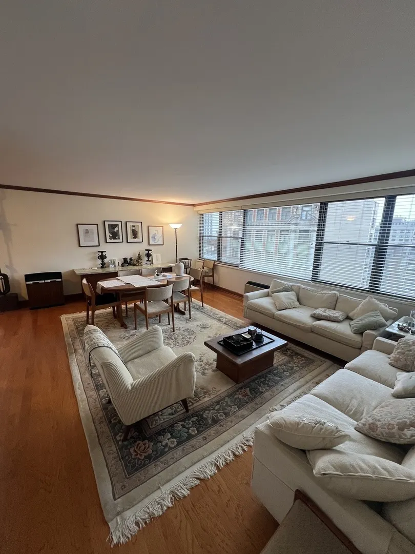 850 N DEWITT Place IL #21CE