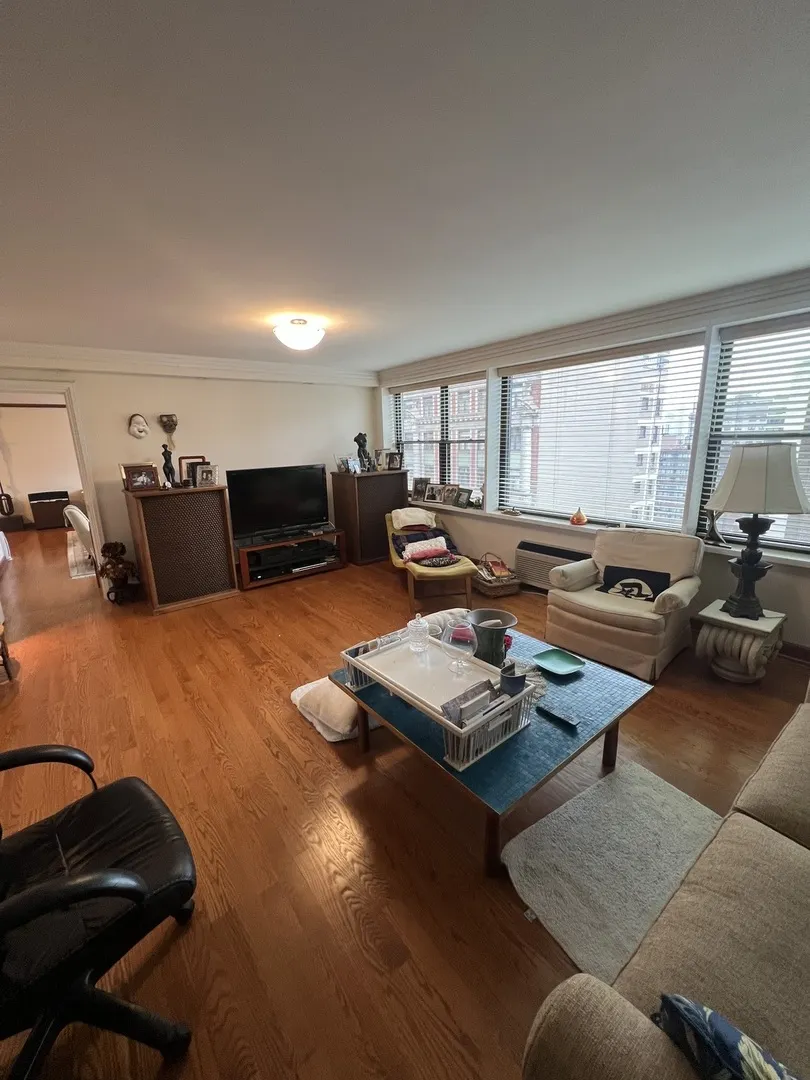 850 N DEWITT Place IL #21CE
