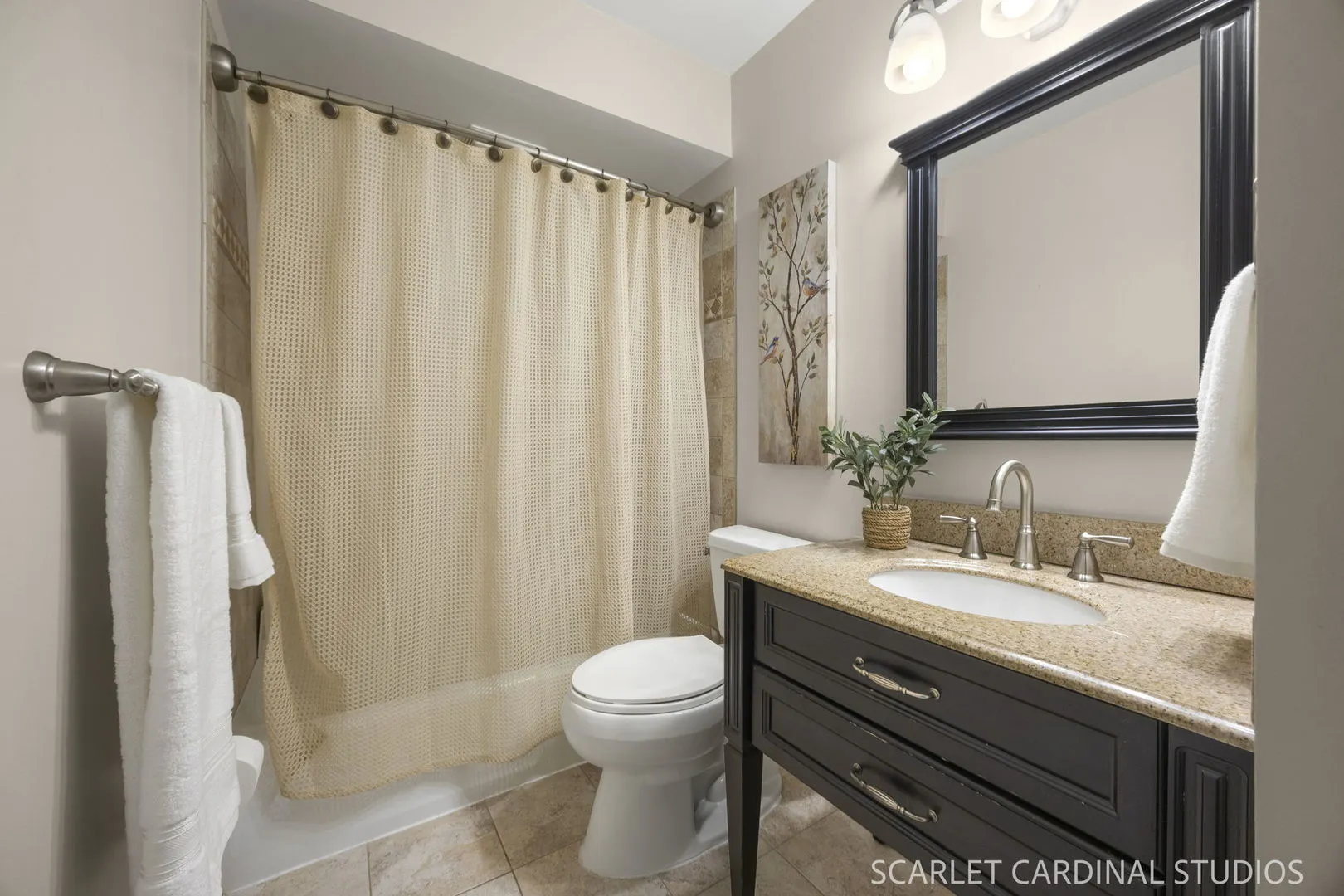 913 Wheaton Oaks Drive IL