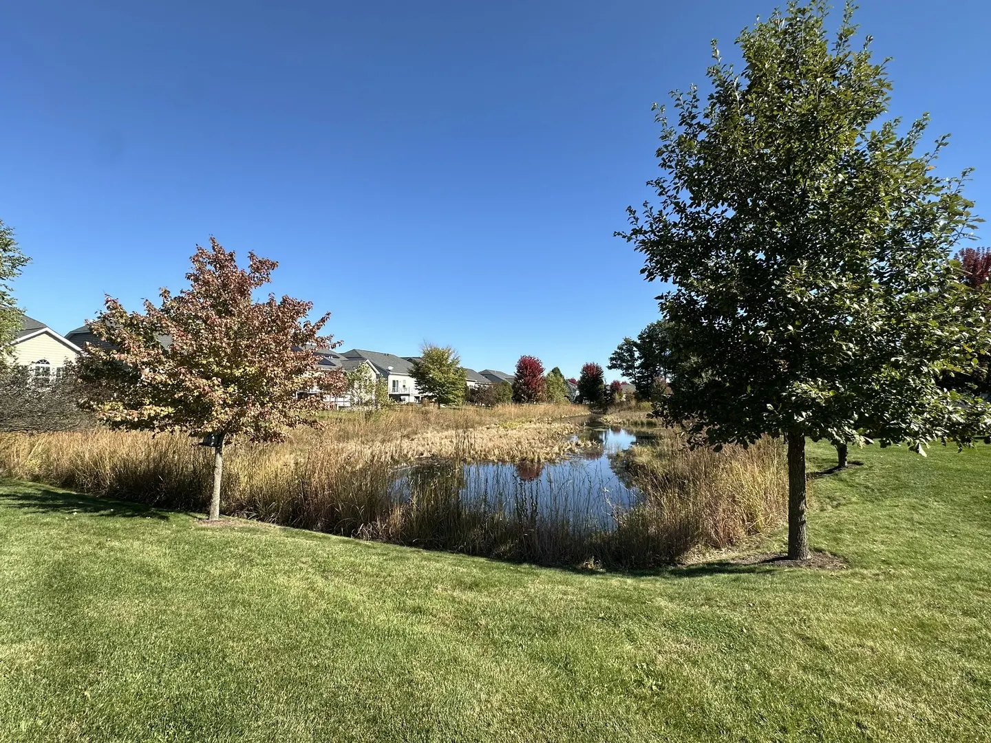 1395 Colchester Lane IL