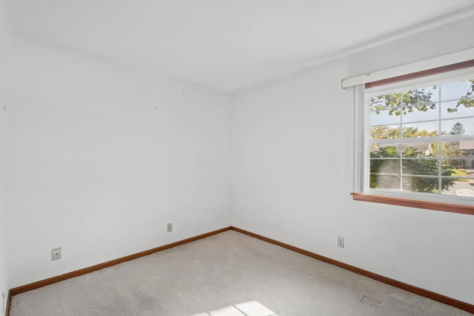 2312 Barberry Drive IL