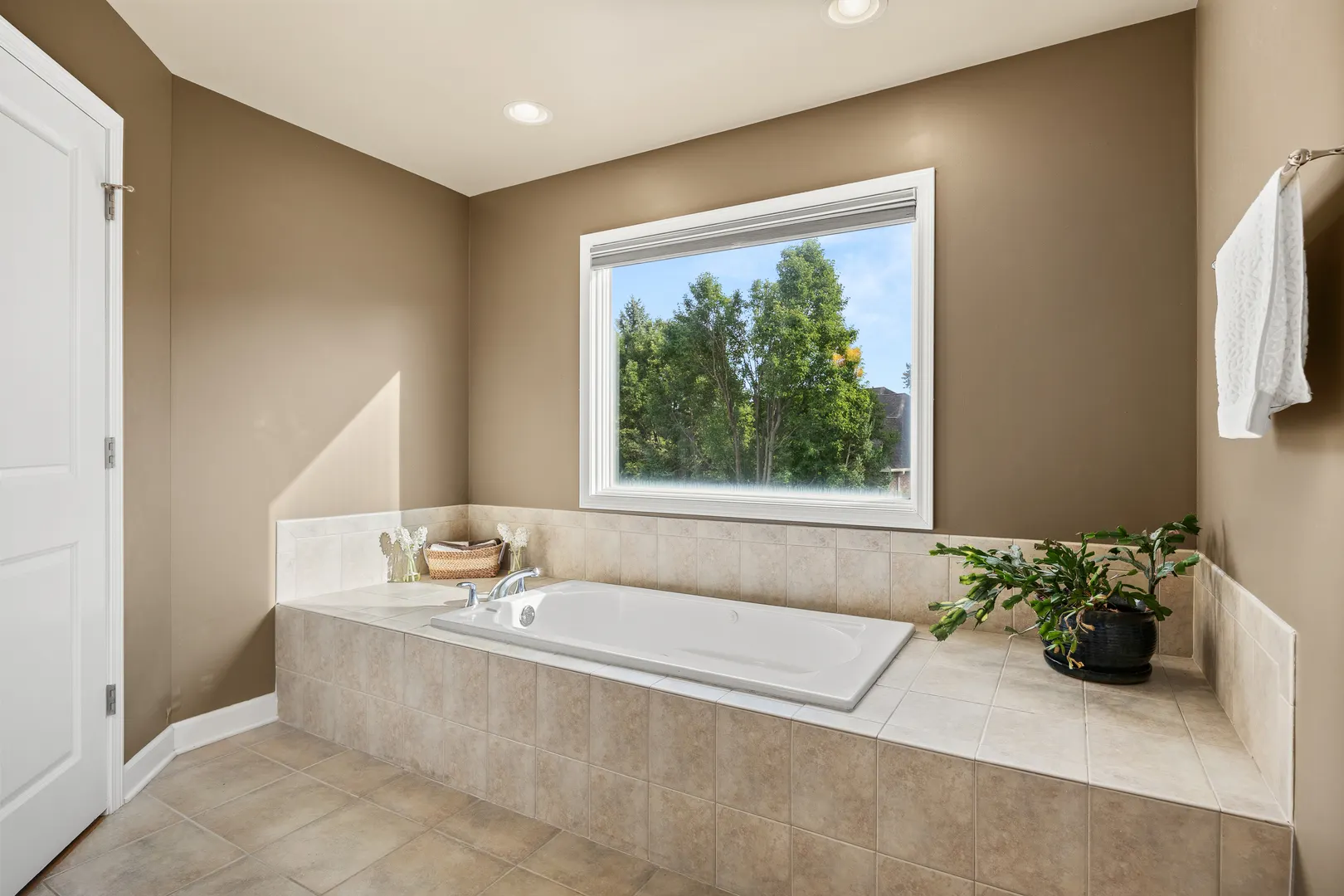 1716 Kingtree Drive IL