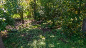 Lot 1 243rd Avenue WI