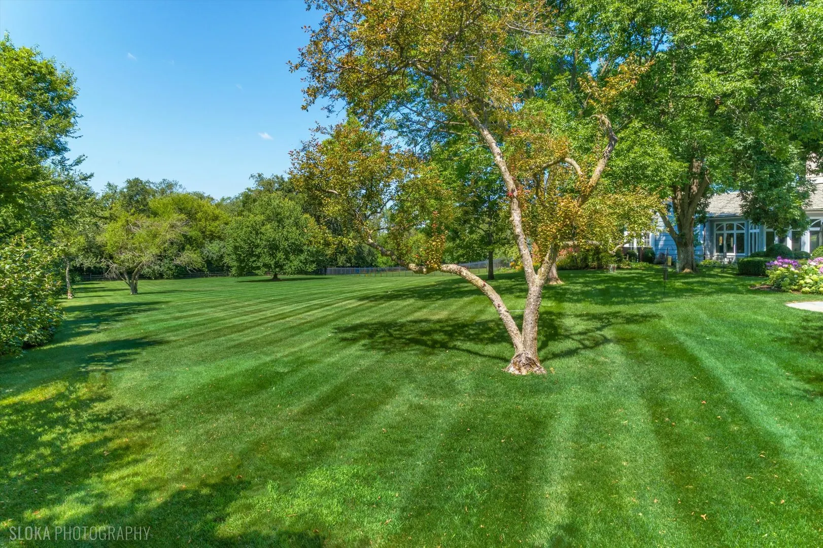 373 W County Line Road IL