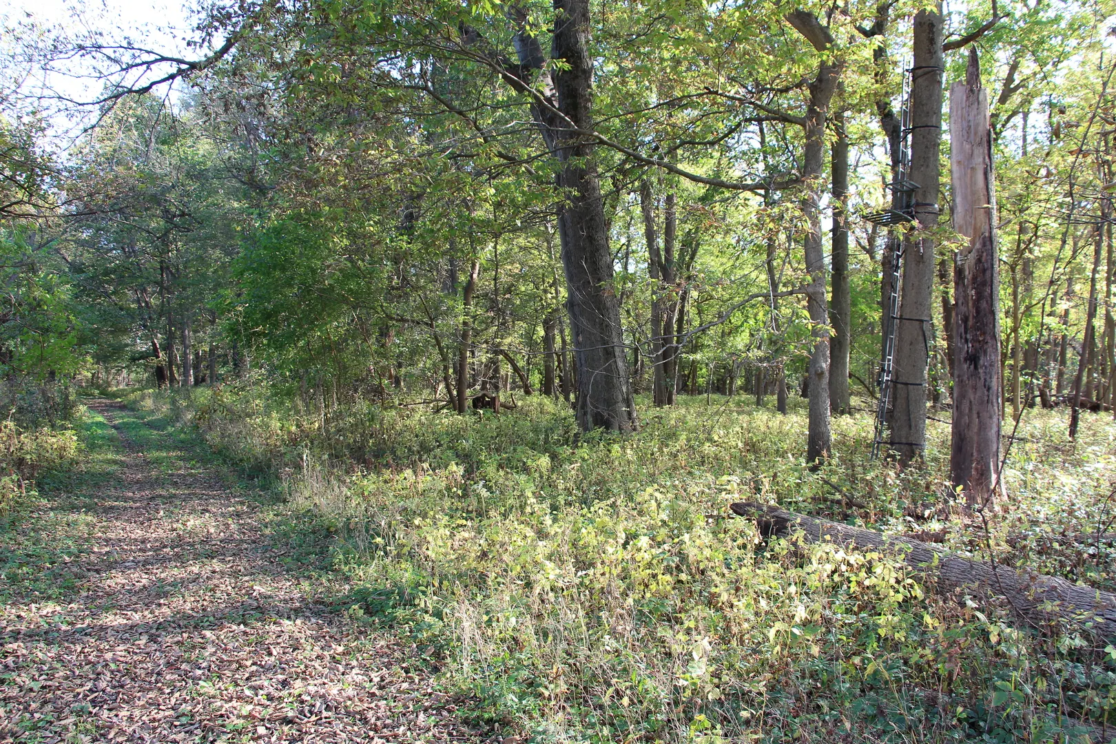 0 Pine Bluff Road IL