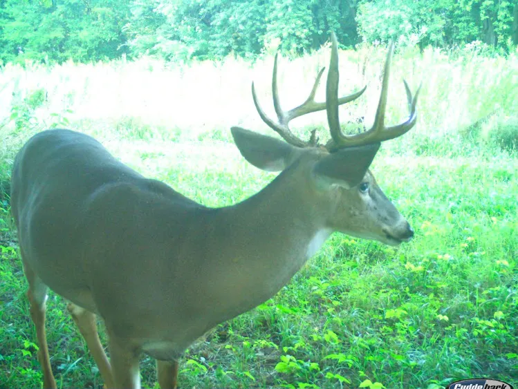 0 Pine Bluff Road IL