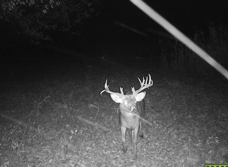 0 Pine Bluff Road IL