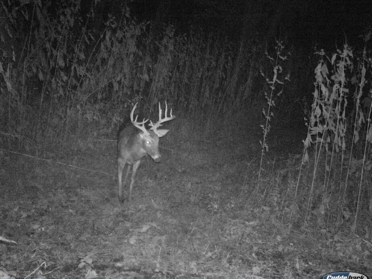 0 Pine Bluff Road IL