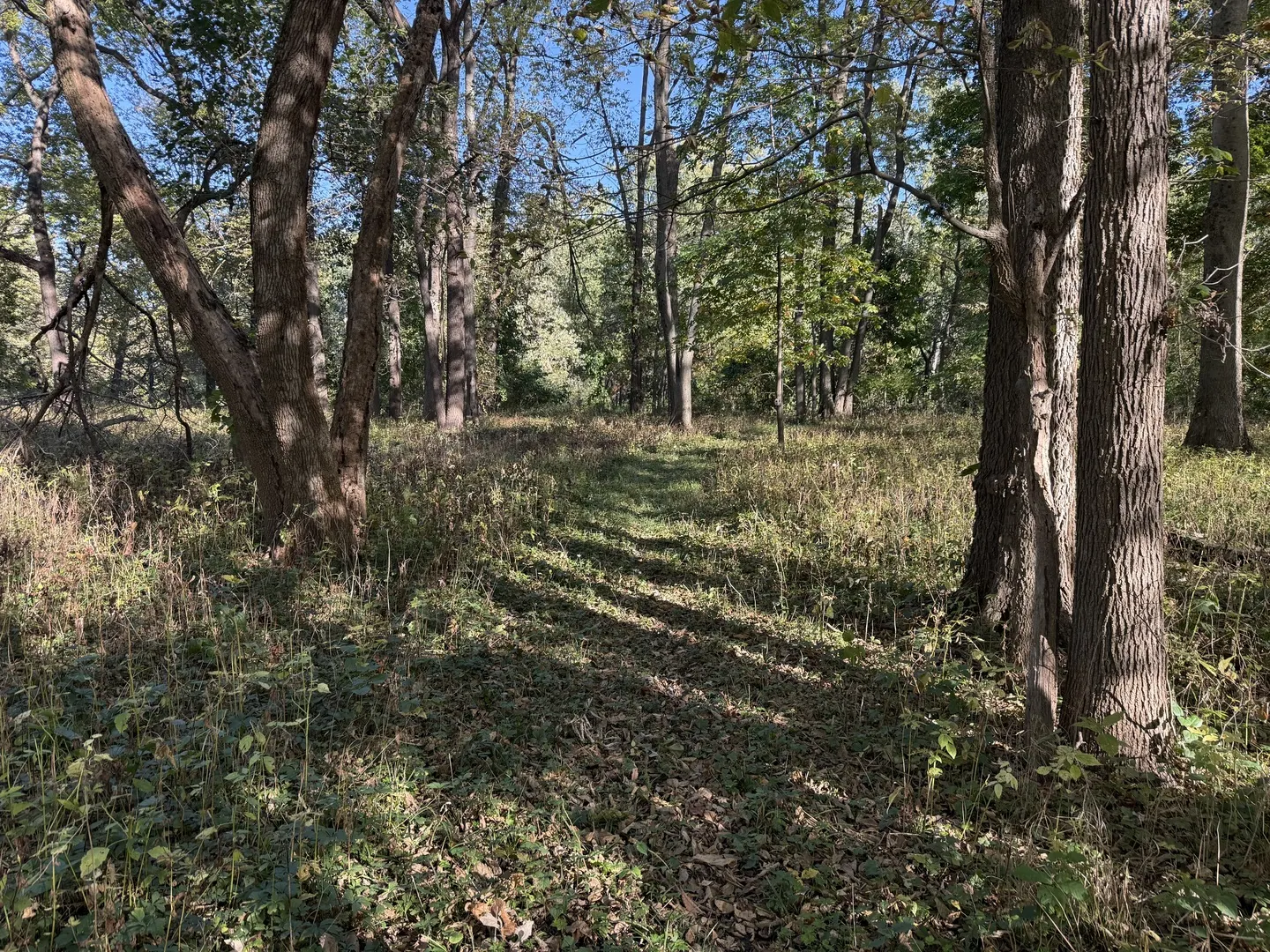 0 Pine Bluff Road IL